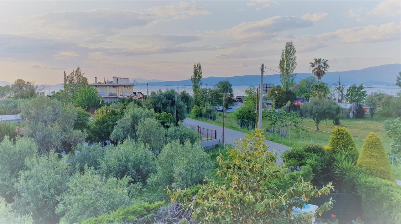Vacation And Relaxation Home Oropos Nea Palatia Exterior foto